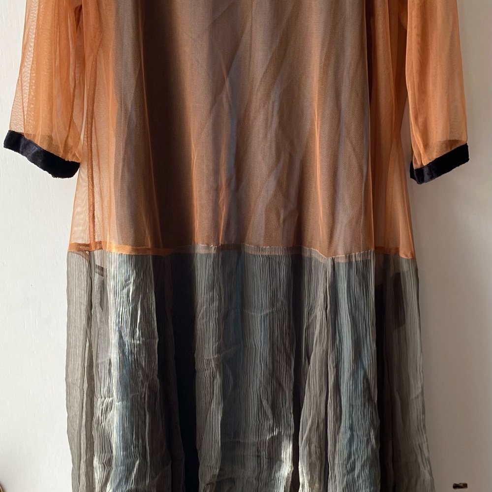 Elegant Sheer Tan and green dress with black trim - Picture 2 of 3